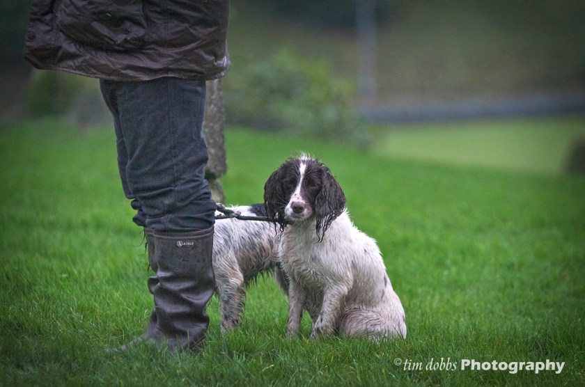 Tim-Dobbs-Photography_DSC0553