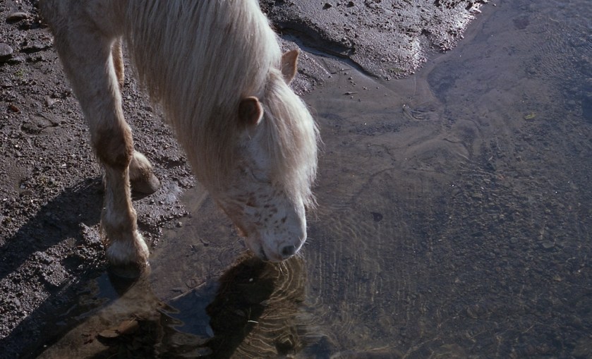 Canon T90 - Fuji Superia 400 img016 - Version 2