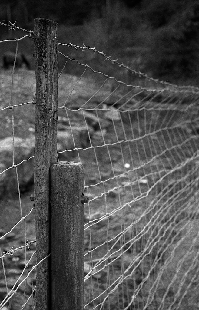 Zorki 4k- HP5 - ilfotec DDX img010