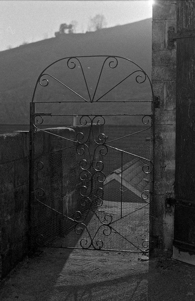 Nikon FM2n - T-Max 3200@1600 - img022