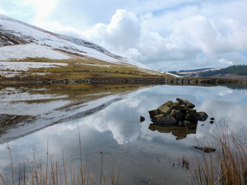 Tim Dobbs Photography-0327