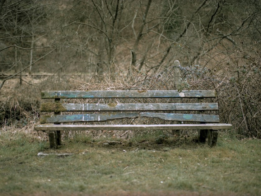 Mamiya-Provia_cross-006