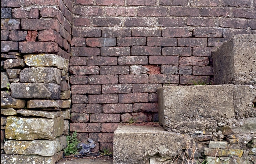 Nikon F80 - Kodak Ektar img026