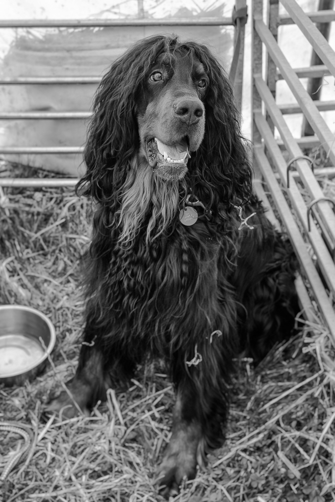 D600A-0686-Edit-Edit-Edit