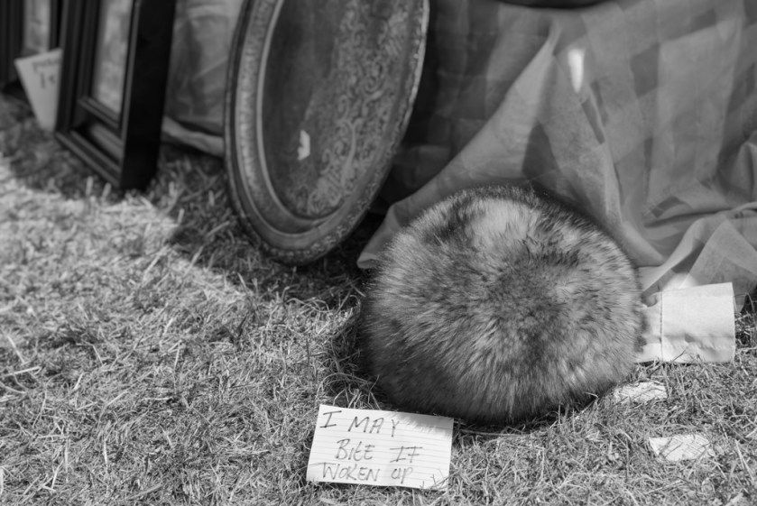 D600A-0690-Edit-Edit