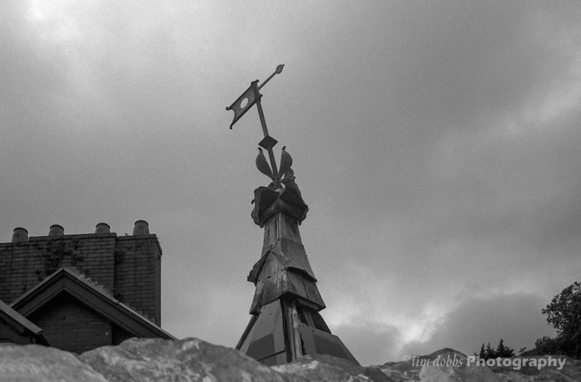 Nikon-TW20_img001-Edit