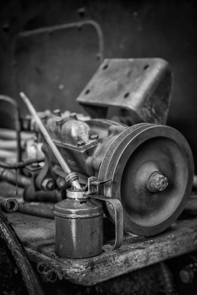 Tim_Dobbs_Photography--2