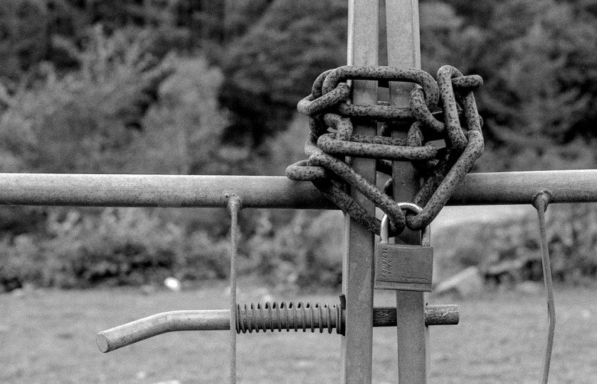 Canon AV1-HP5_010-Edit