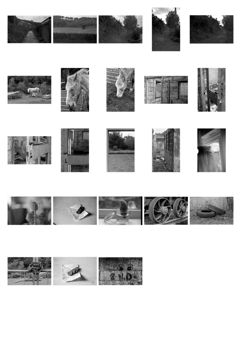 Canon AV1 test Contact sheet
