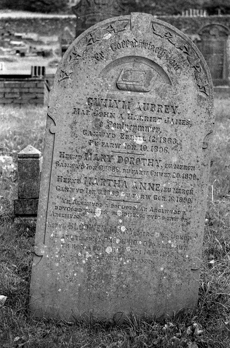 img020_TimDobbsPhotography