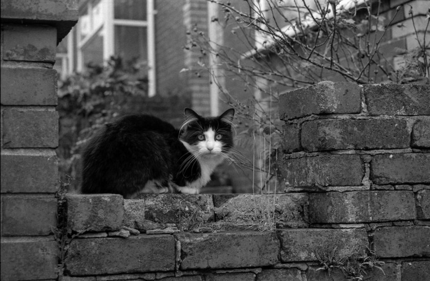 img025_TimDobbsPhotography