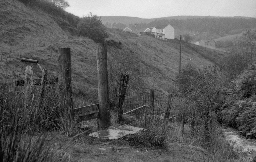 Pentax k1000-Delta400_012