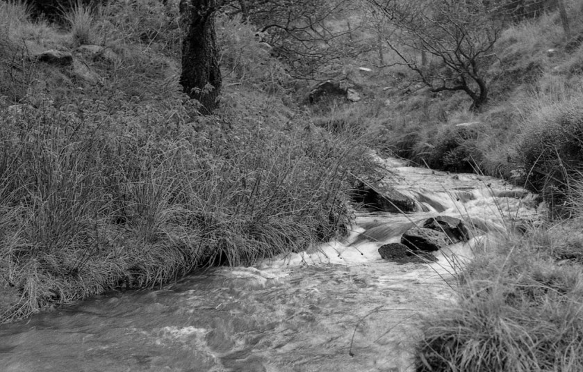 Pentax k1000-Delta400_036