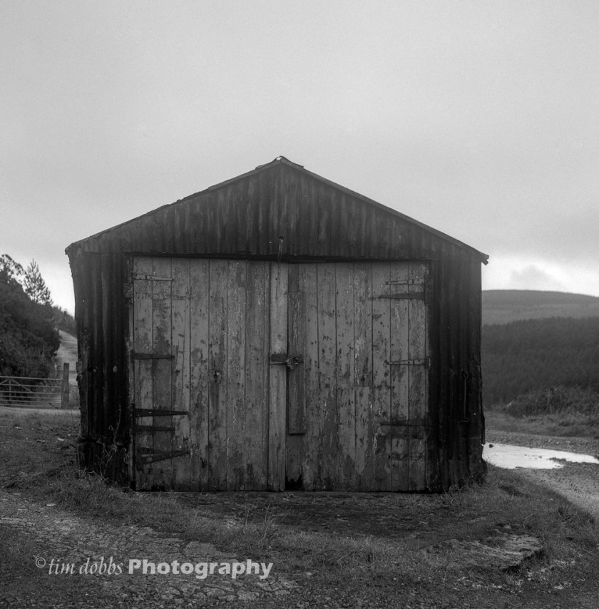 YashicaMat_TMax400_006