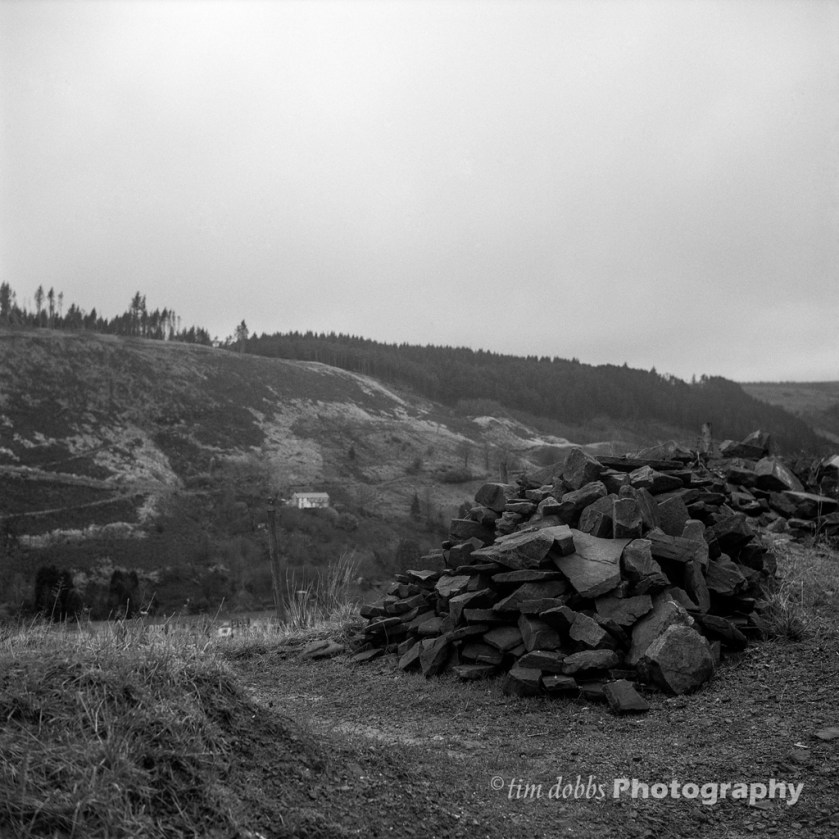 YashicaMat_TMax400_007