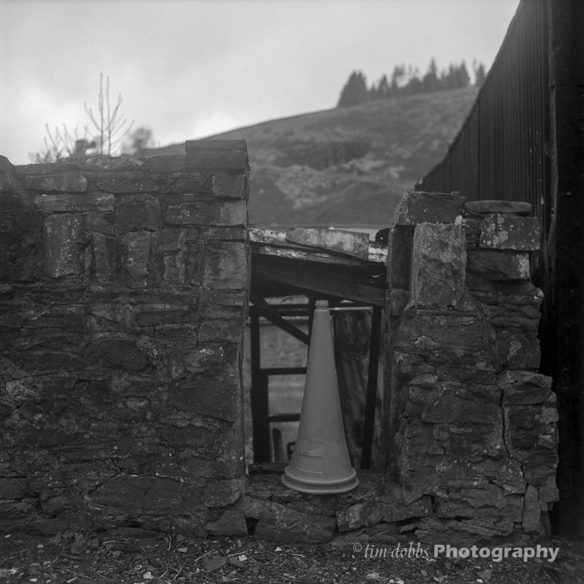 YashicaMat_TMax400_009