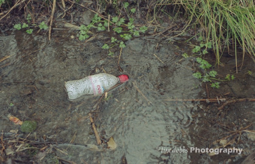 Nikon-FM2-Kodak-200-exp017