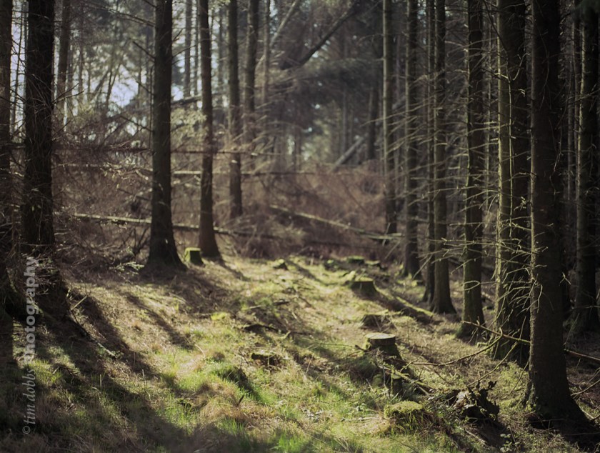 Mamiya645_Extar_013-Edit