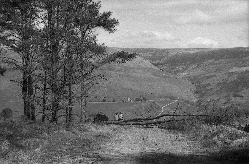 TimDobbsPhotography-4008