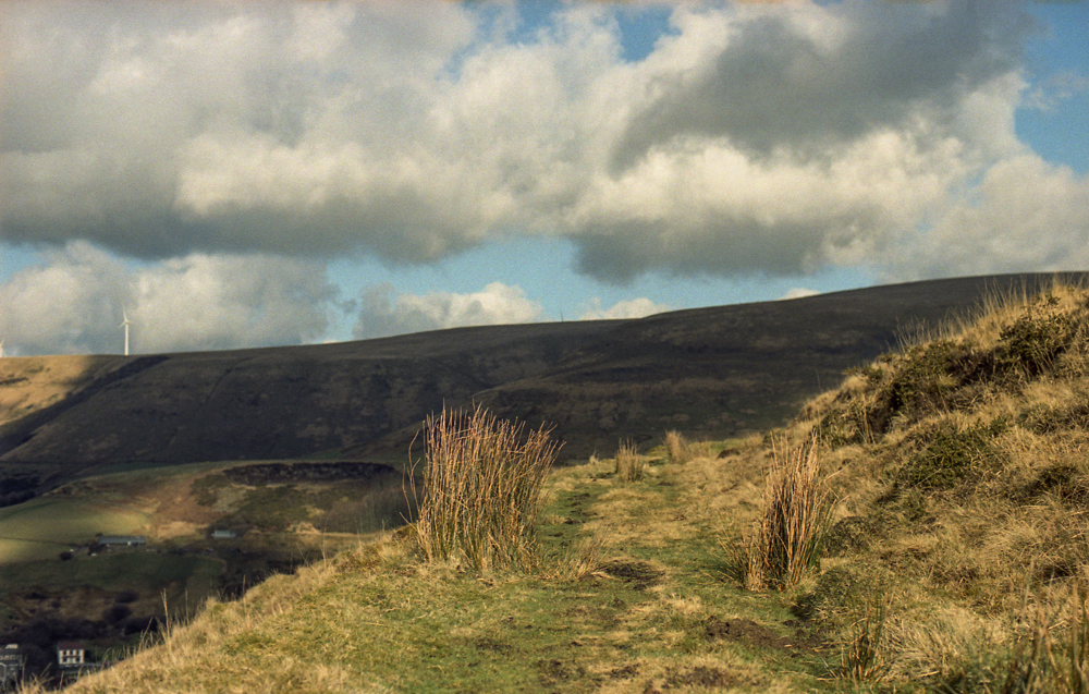 portra400vc_012-edit