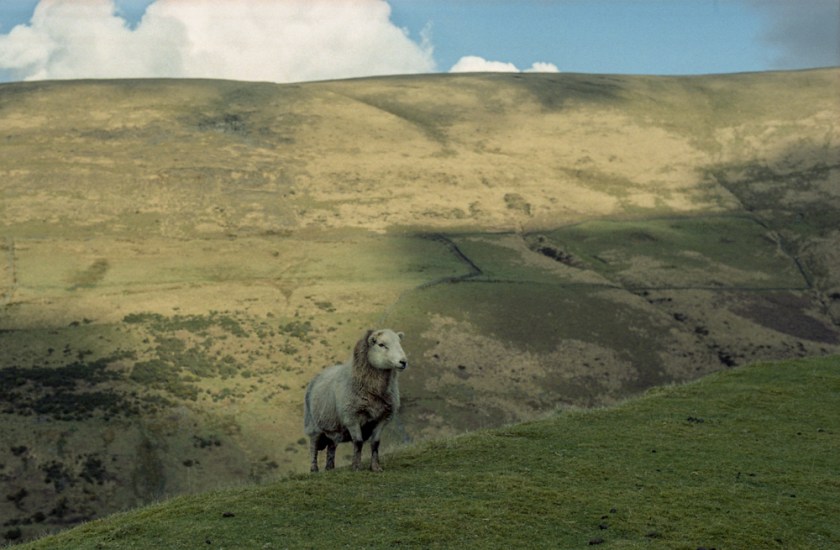 portra400vc_015-edit