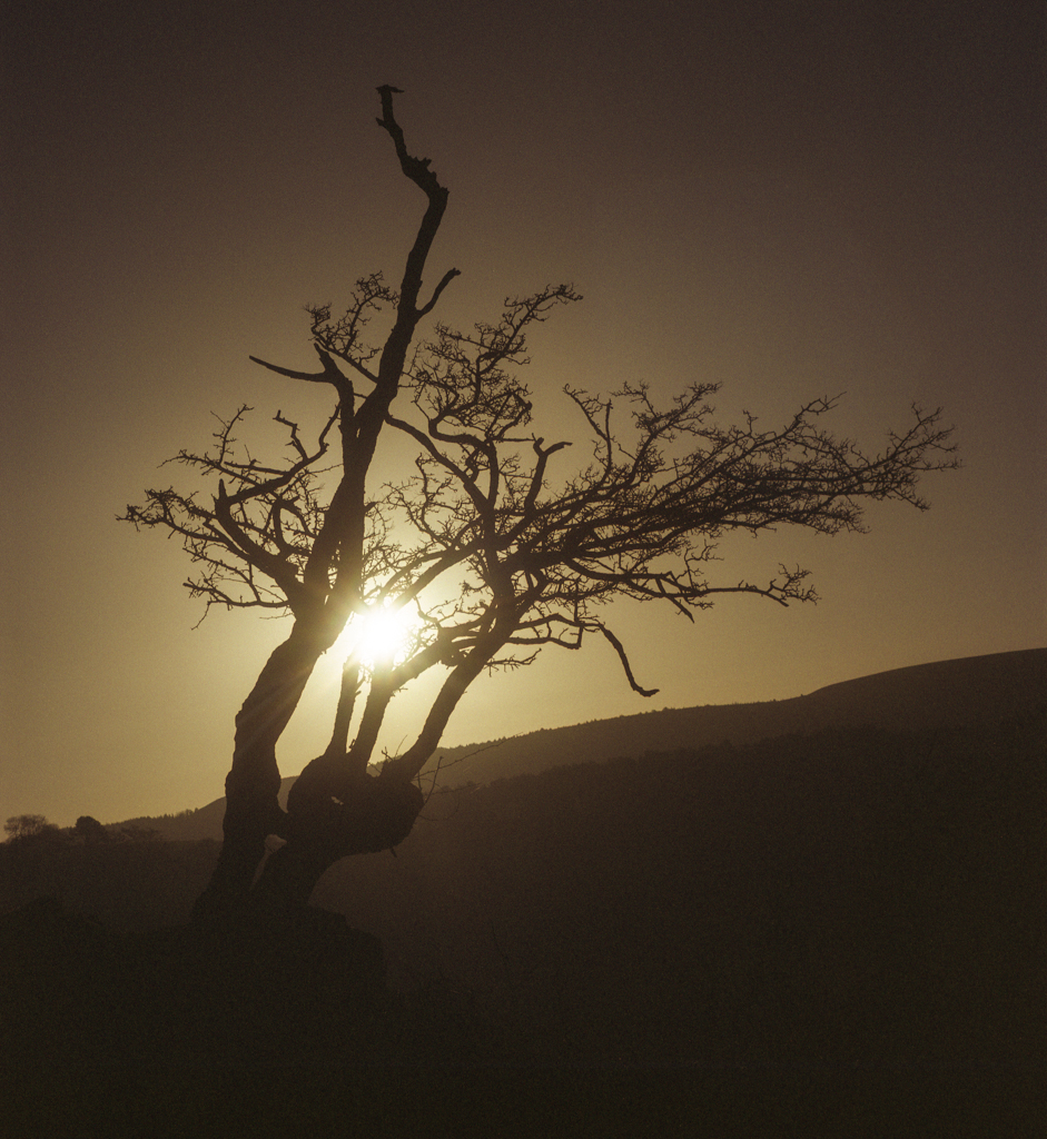 Expired Film Day 2017&nbsp;…..