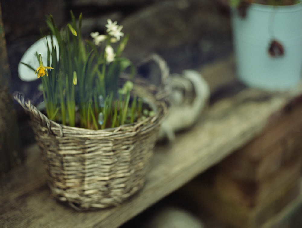 Spring has Sprung ?&nbsp;……