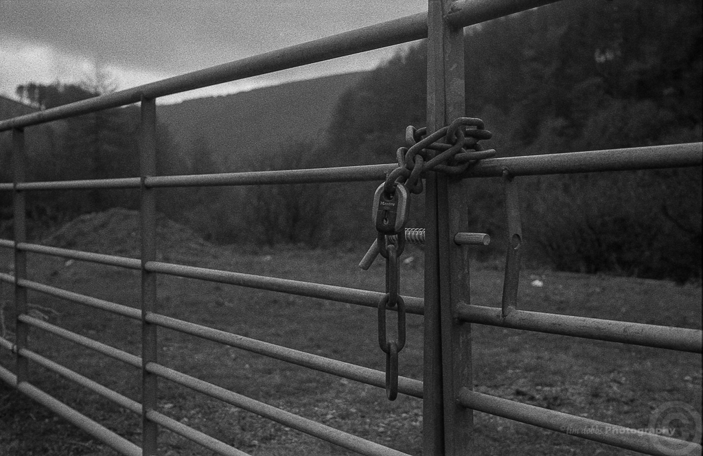 Bergger_Pancro400_012