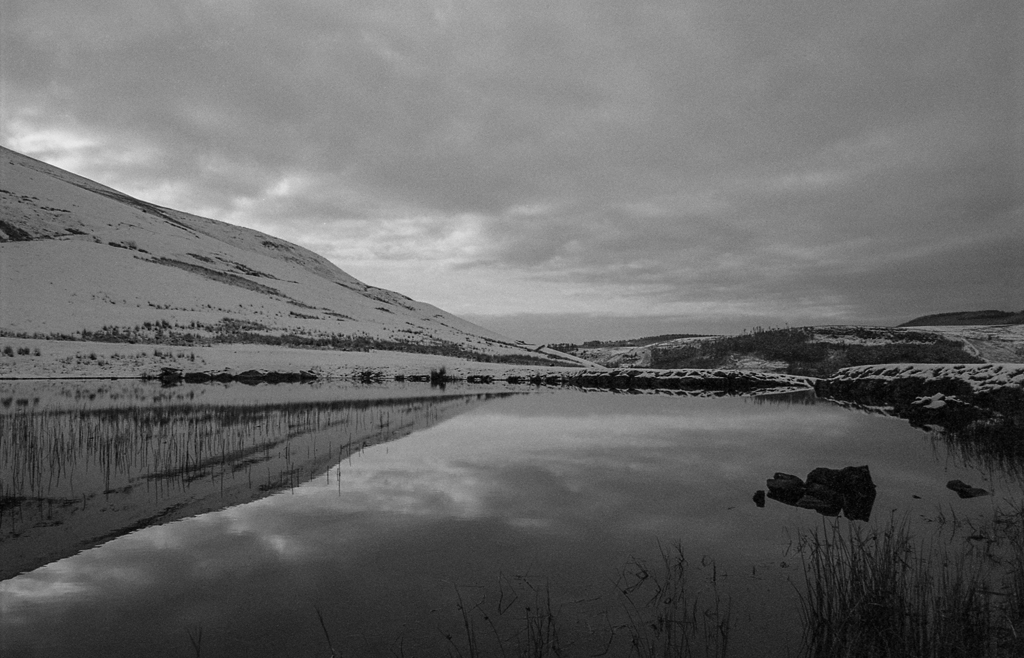 December’s #FP4Party entries all together&nbsp;….