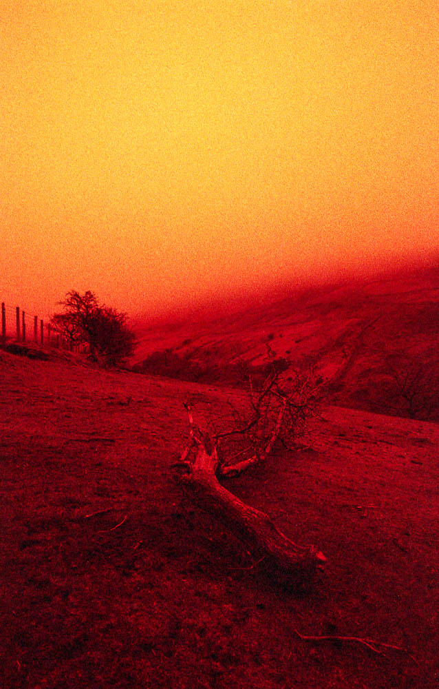 Nikon F100 - Agfa Vista Redscale020