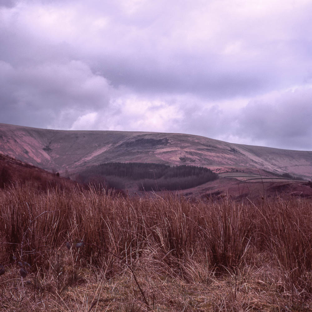 Yashicamat124G_Provia100F004