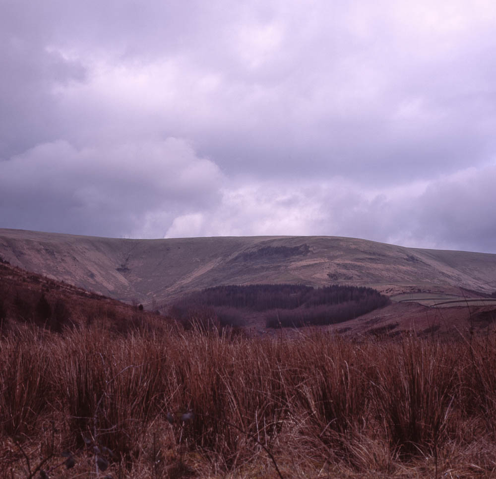 Yashicamat124G_Provia100F009