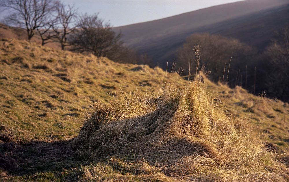 Leica M2 - 7 Artisans - Kodak Ektar009