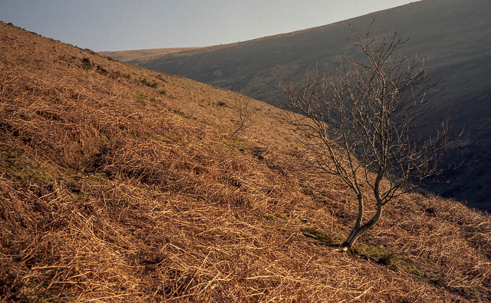 Leica M2 - 7 Artisans - Kodak Ektar023