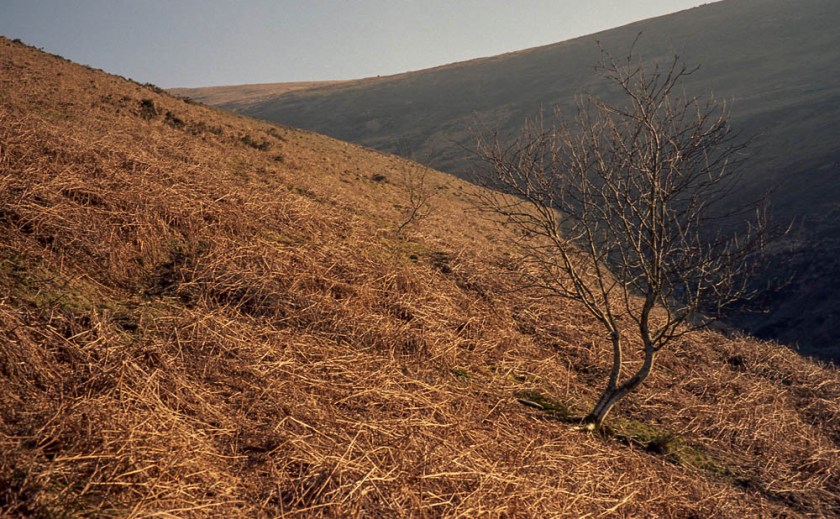 Leica M2 - 7 Artisans - Kodak Ektar023