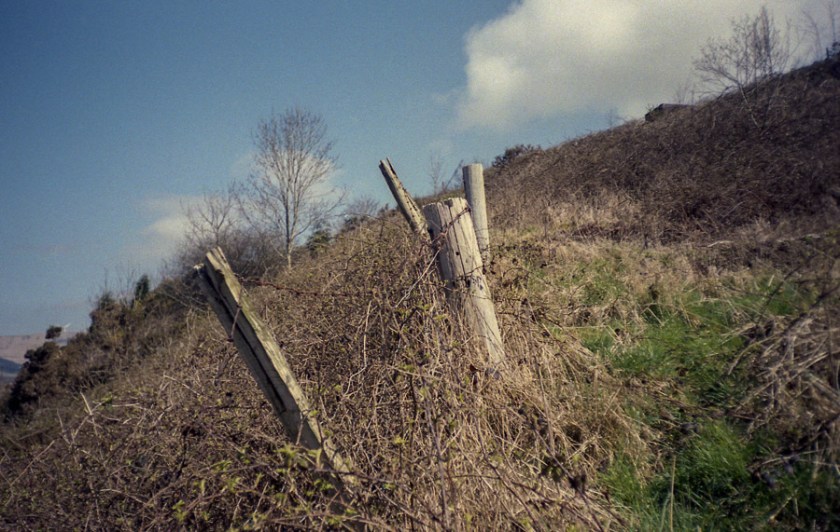 MinoltaRiva100AF_Superia100_008