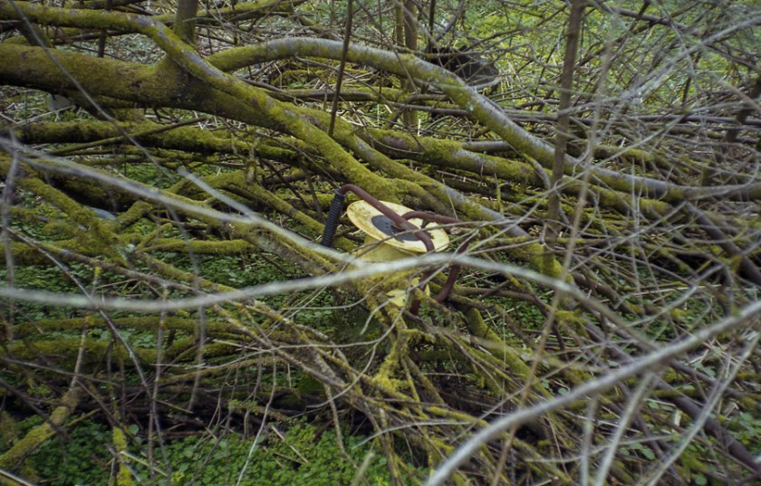 MinoltaRiva100AF_Superia100_014