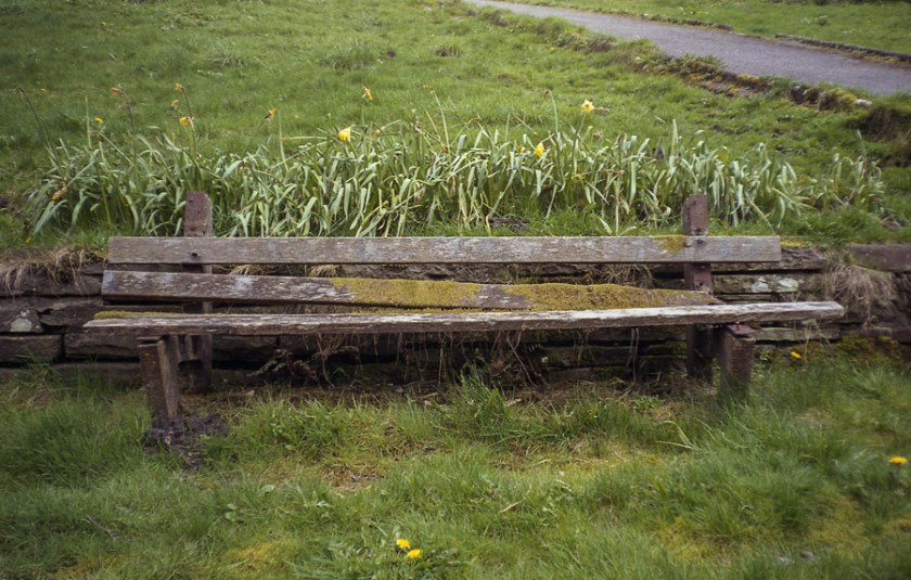 MinoltaRiva100AF_Superia100_019