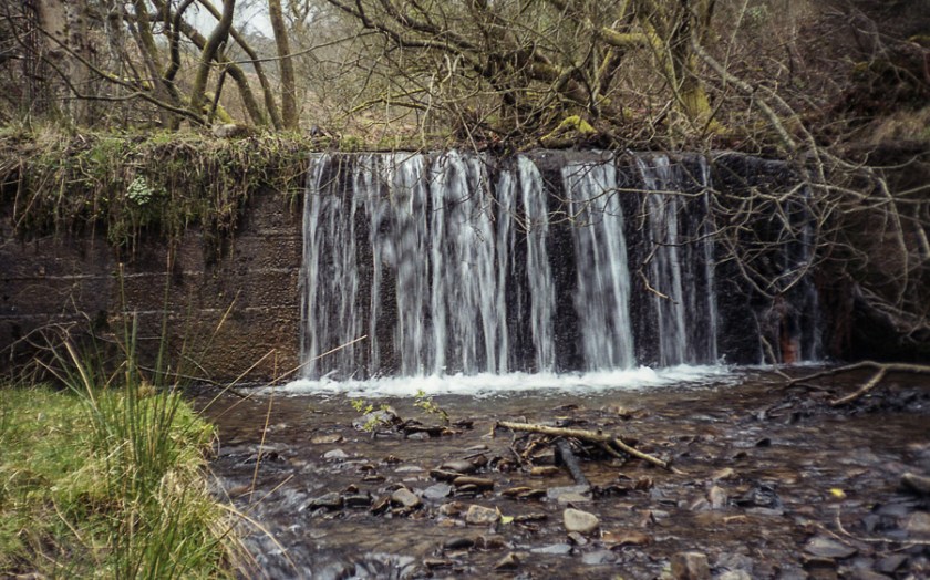 MinoltaRiva100AF_Superia100_025