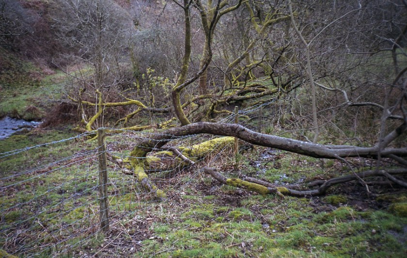 MinoltaRiva100AF_Superia100_031