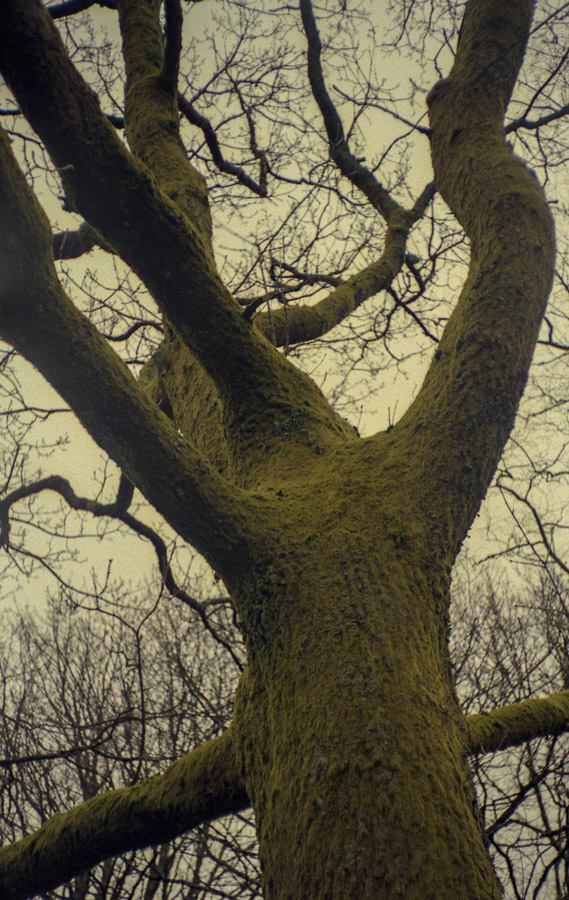 MinoltaRiva100AF_Superia100_032