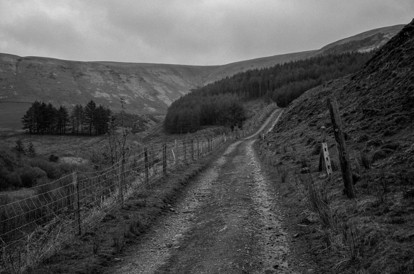 Fuji GW690iii - ilford HP5001