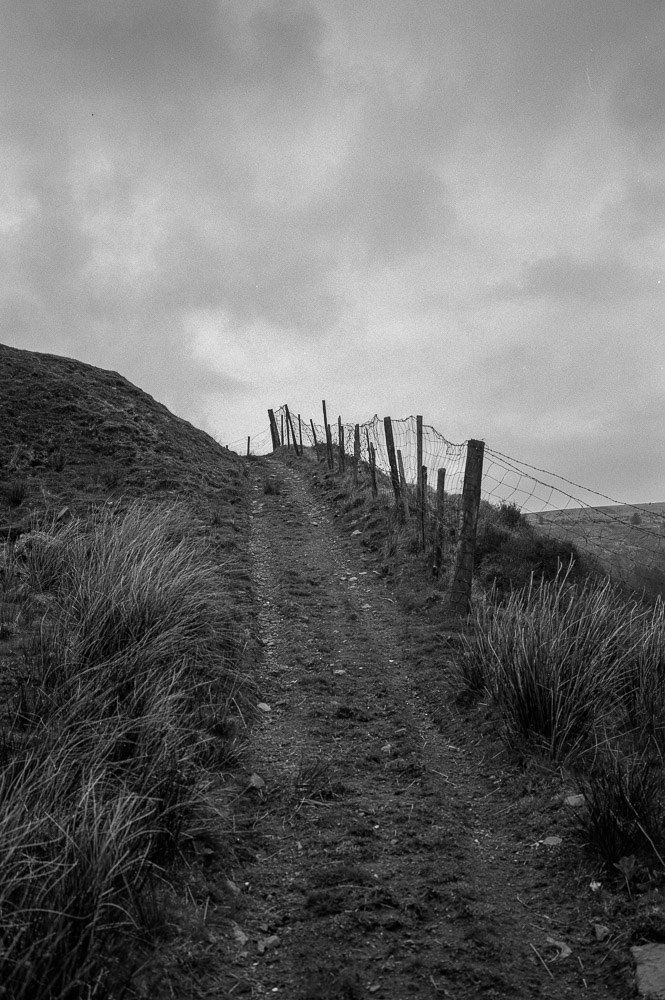 Fuji GW690iii - ilford HP5002