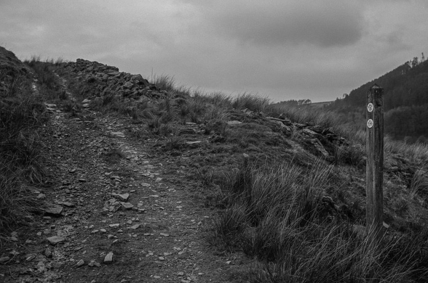 Fuji GW690iii - ilford HP5005