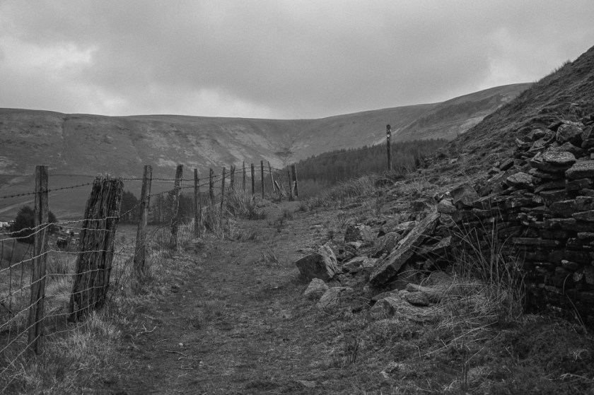 Fuji GW690iii - ilford HP5006