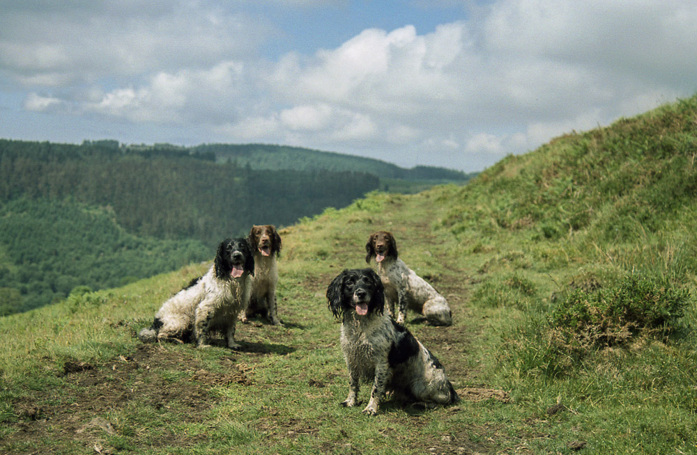 Really enjoying shooting motion picture stock&nbsp;…..