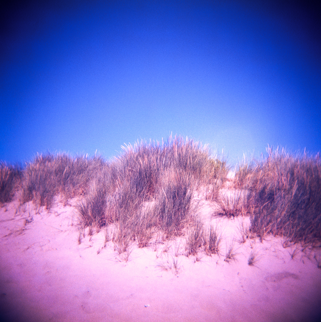 Holga_Lomo_color_slide200_009