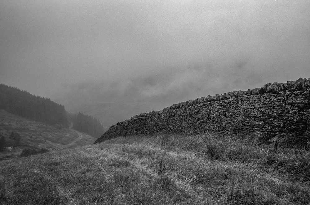 GW690_RolleiRPX400002-Edit