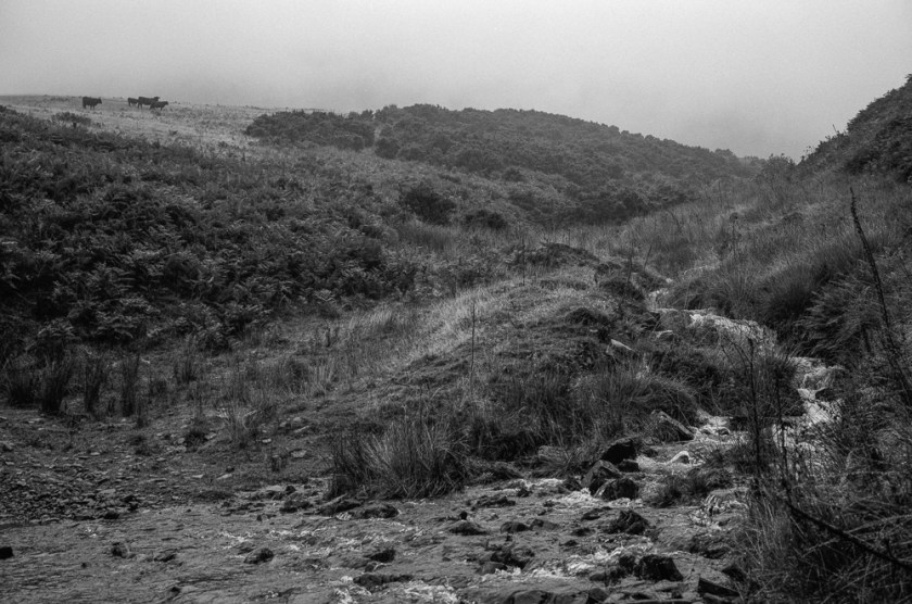 GW690_RolleiRPX400004