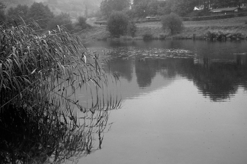 GW690_RolleiRPX400008